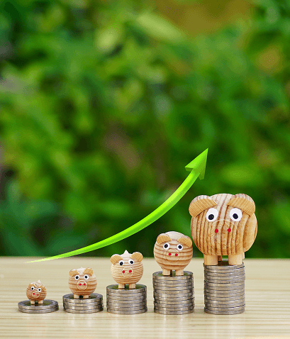 Earnings, Commissions, and Career Growth